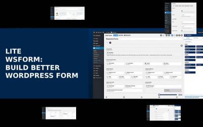 Easy 10 Steps: How to Use WordPress Forms Lite on Website