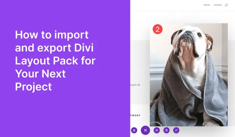 Export & Import Divi Layout Pack For Divi Theme Builder